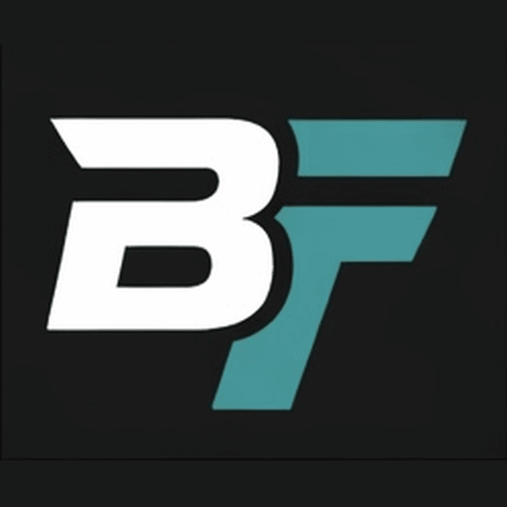 BidFlow logo
